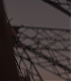 EMO-Eiffel401.jpg