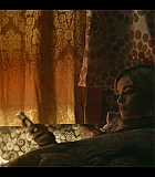 EMO103-026.jpg