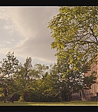 EMO204-210.jpg