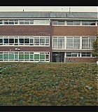 EMO308-052.jpg